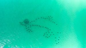 Summer Breeze D212 - Bungalow 6