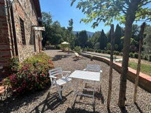 Bellosguardo Farm house in olive groves - San Donato Fronzano, Florence, Toscany