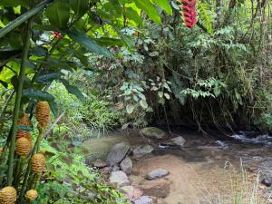 Casa Colibri Chirripó