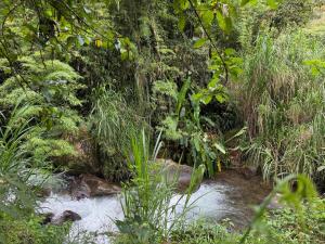 Casa Colibri Chirripó
