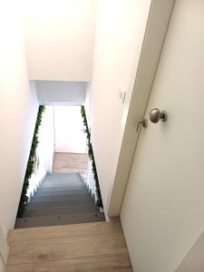 Fammi la corte Verona