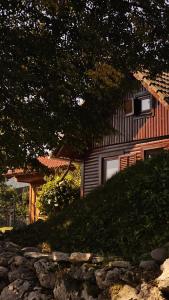 Lake house Amur 
