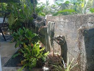 Dinadi Villa