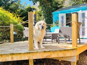 1 Bed in Llanrhaeadr 91890