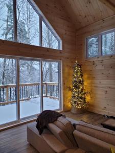 NEW Chalet des pins - lake access