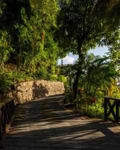 Labrelotte Bay, PO Box 1504, Castries, Saint Lucia, Caribbean.