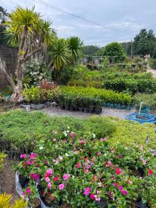 Private Garden Villa Koh Lanta
