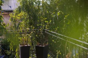 Aparthotel Miodowa 25