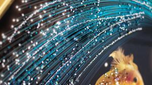 Time Oon Travel And Tour Unit 754 Luxurious