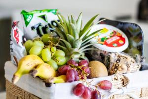 Time Oon Travel And Tour Unit 754 Luxurious