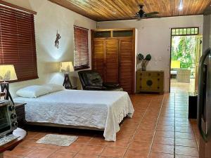 Jungle Creek, Casita Colibri, Studio with Big Patio