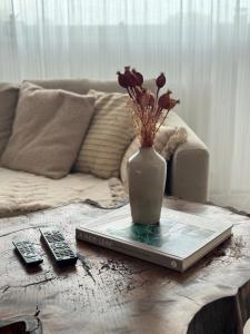 Stylish Flat Brașov Hideaway