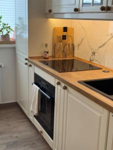 Stylish Flat Brașov Hideaway