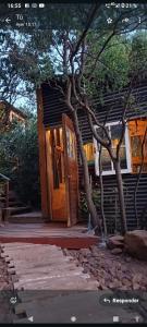 oso montaña Cabaña cajón del Maipo