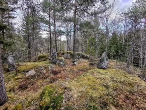 4 person holiday home in DALS ROSTOCK