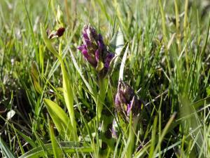 10 person holiday home in FÄRJESTADEN