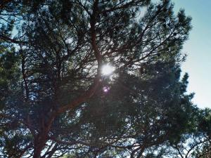 4 person holiday home in STRÖMSTAD