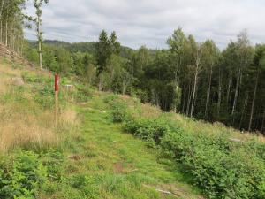 5 person holiday home in MUNKEDAL-By Traum