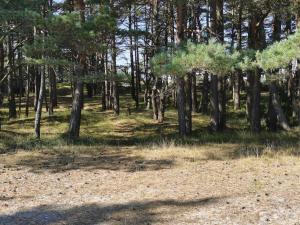 Seaside Charm in Flaton Retreat-By Traum