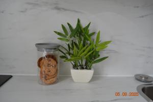 A Magnificent One Bedroom Flat With A Stunning Private Terrace