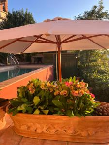 Casa Castello di Morrona