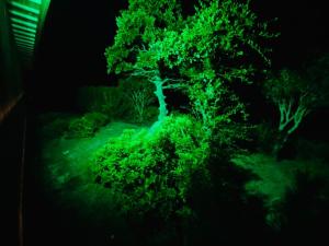 Hatsukaichi - House - Vacation STAY 19719