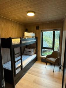 Exclusive cabin with sauna and mountain view in Geilo