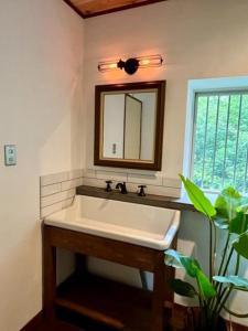 The Blue Moon (Forest 99 3rd) - Vacation STAY 36259v