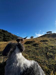 Hosterìa Puyu Pacha Adventure