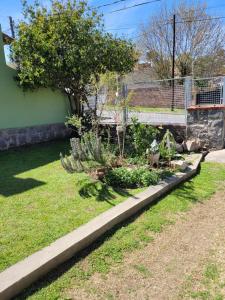 Departamentos serranos - Menta y Peperina