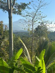 Ananda Bungalow Tetebatu