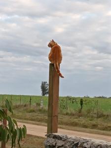 Casa 1 Los Piamonteses 3 personas