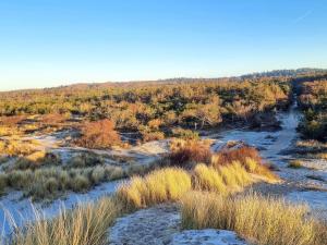 6 person holiday home in Tisvildeleje