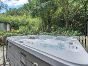 3 Bed in Aberaeron 55308