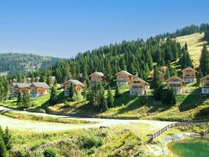 Chalet Bergoase