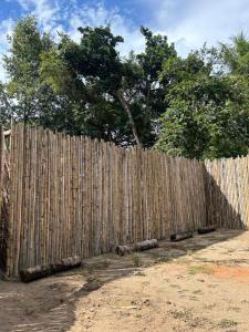 Bambuk Bio Dome Uvita beach front