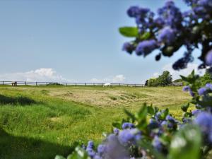 3 Bed in Richmond 90578