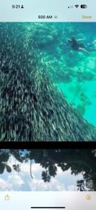 Panagsama Holiday Cottage