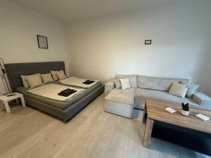 Ubytování v centru Brna u hlavního nádraží s garáží