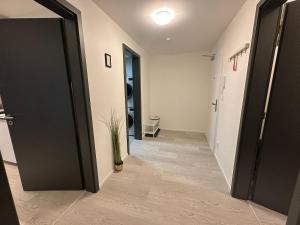 Ubytování v centru Brna u hlavního nádraží s garáží