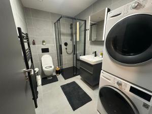 Ubytování v centru Brna u hlavního nádraží s garáží