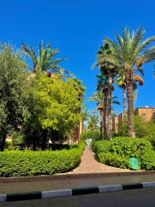 Appartement Charm and Comfort