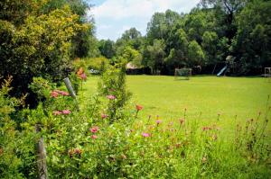 Campamento y parque Niltse