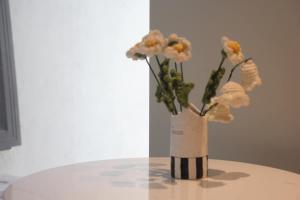 Apartment Large Kitchen Washing Machine