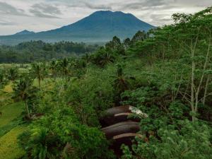 Hideout Eco Bamboo House Bali