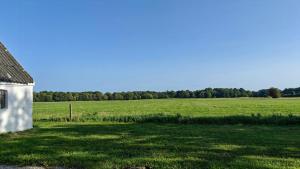 Renovated Farmhouse With Starry Sky Views