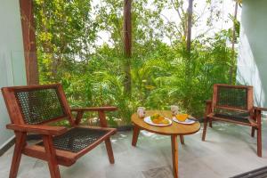 MyStic in the Jungle