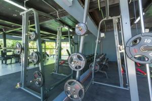 MyStic in the Jungle