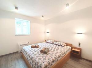 Villa Galant Brgudac - Private Oasis with Pool