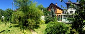 Four-Bedroom Apartment room in Guest house Na Lesnoy